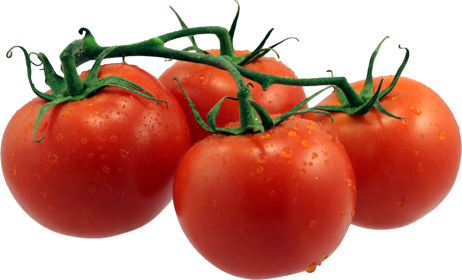 MDD Farms fresh tomatoes